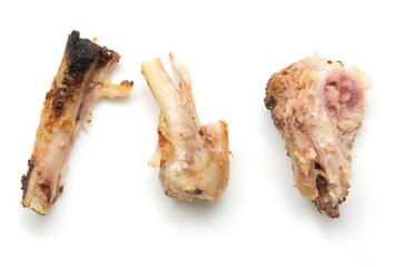 gnawed bones from chicken