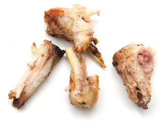 gnawed bones from chicken