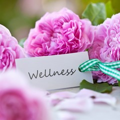 Wellness