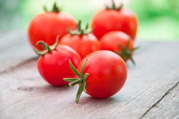 Freshly harvested summer cherry tomatoes
