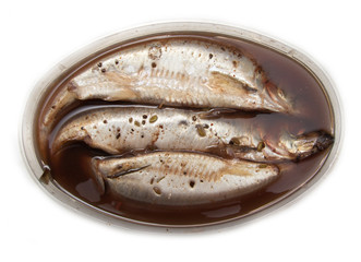 spicy salted herring on a white background