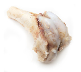 bone on a white background