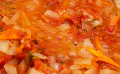 tomato and onion fried. background