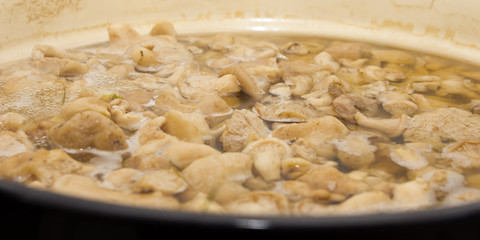 Mushrooms cook in a pan