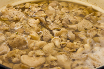 Mushrooms cook in a pan