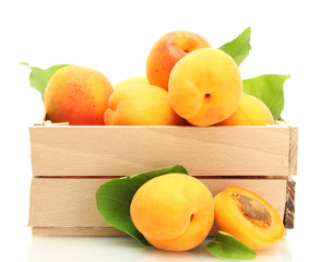 ripe apricots with green leaves in wooden box isolated on white
