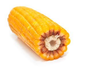 Yellow tasty corn on a white background