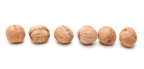 Walnut on a white background