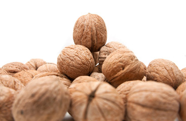 Walnut on a white background