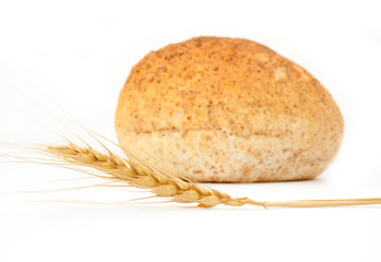 Wheat and bread on a white background