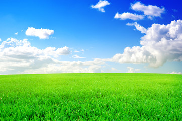 Obraz premium green field and clouds