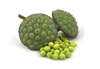 Lotus Seed Pod
