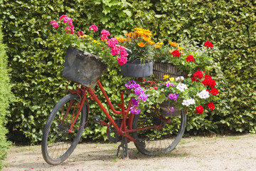 Fototapeta na wymiar stary rower wyposażone w kosze z kwiatami