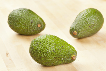 Organic Green Avocado