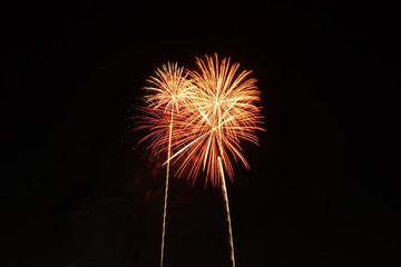 Fototapeta premium Holiday Celebrate Fireworks