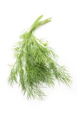 Fresh green dill on white
