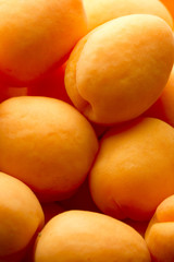 Heap of ripe apricots