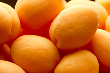Heap of ripe apricots