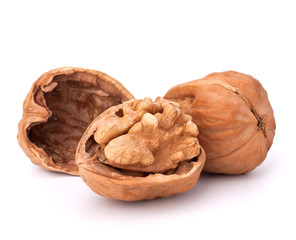 walnut