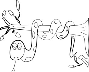 color page snake tree vector