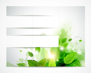 eco brochure with branch of fresh green leaves