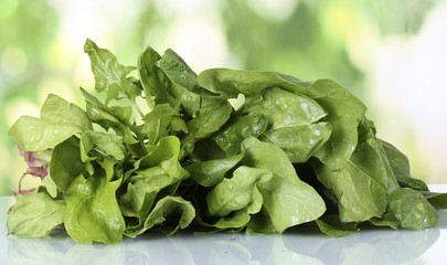 spinach on green background