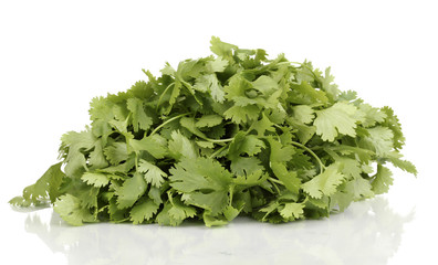 Fototapeta premium fresh coriander or cilantro isolated on white