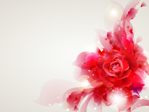 Abstract soft background with red rose
