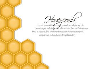 Vector background with structure of honeycomb
