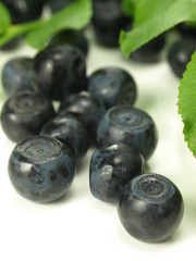 Blueberries,closeup