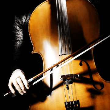 Cello musical instrument cellist