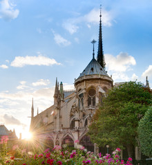 Fototapeta na wymiar Sunset view of Notre Dame De Paris cathedral.