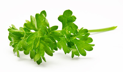 Fresh parsley isolated on a white