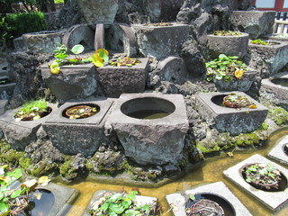 水生植物の桶