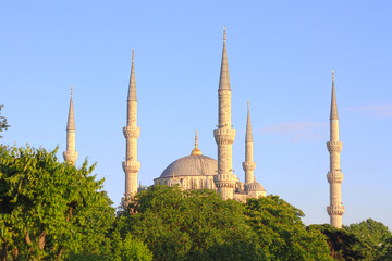 Fototapeta na wymiar Błękitny Meczet, Stambuł
