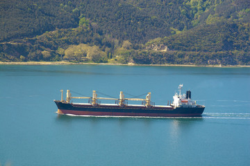 Cargo ship sails into Bosporus Sea