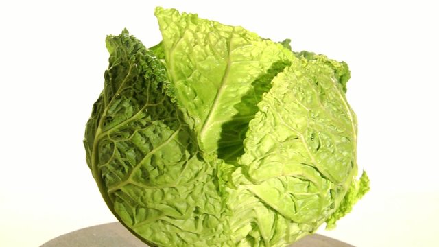 savoy cabbage