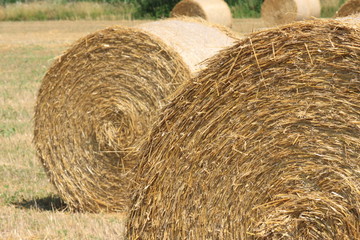 Hay rollers - Balle di fieno