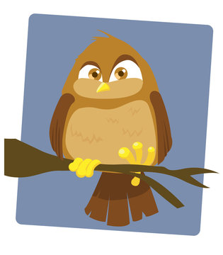 Angry Owl_stock