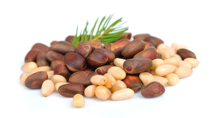 pine nut with