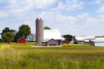 American Farm