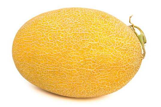 Hami melon with clipping path