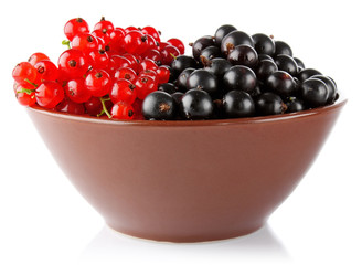 red and black currant in clay tureen