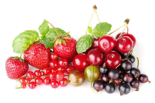 still life of berry isolated on white background