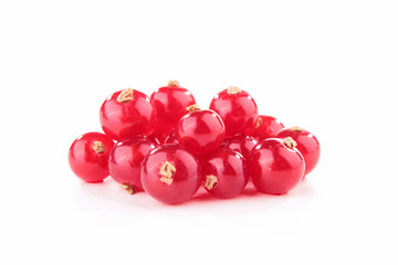 isolated red currant