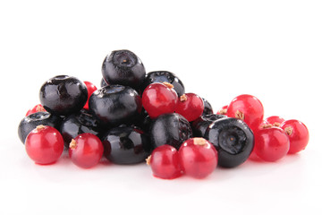 berry fruit