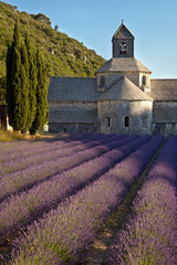 Abbaye de Sénanque #3