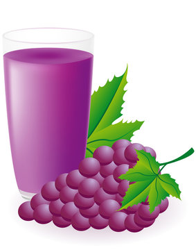 blue grape juice vector illustration