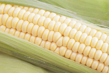 corn