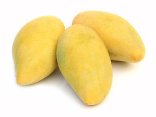 mangoes isolated on a white background